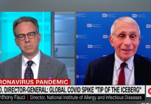 Fauci worried that Americans are rebuilding from destruction of lockdowns