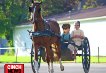 If everyone stops driving for one week, we can flatten the gas price curve